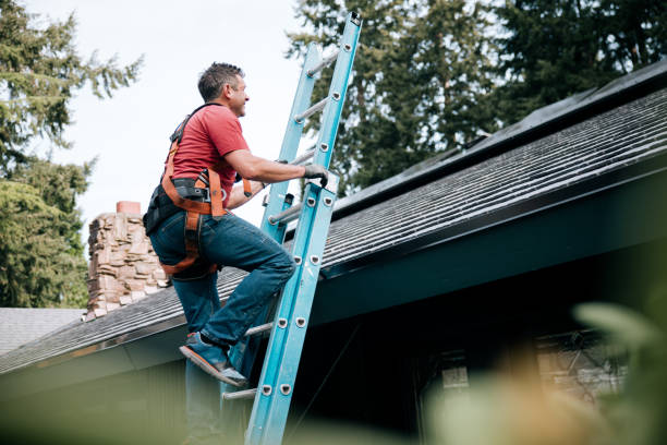 Professional Roofing in Ogden Dunes, IN